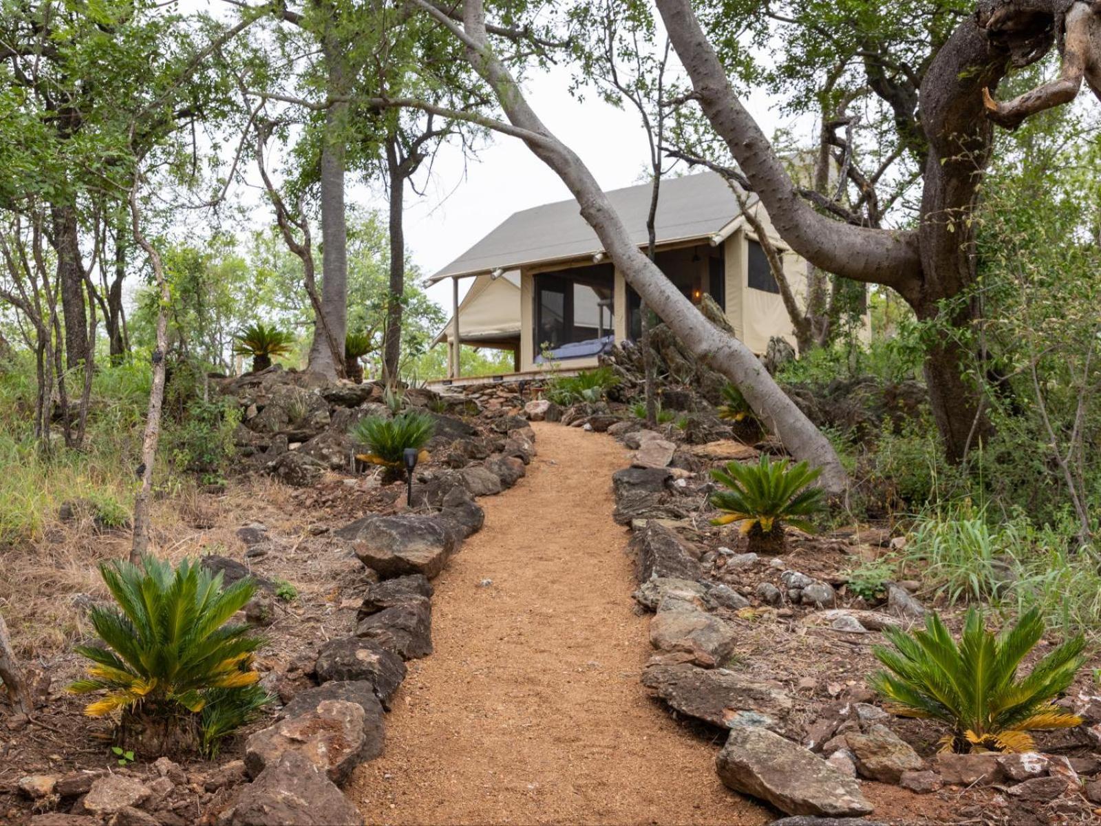 Bushveld Bivouac Private Camp Mica Quarto foto